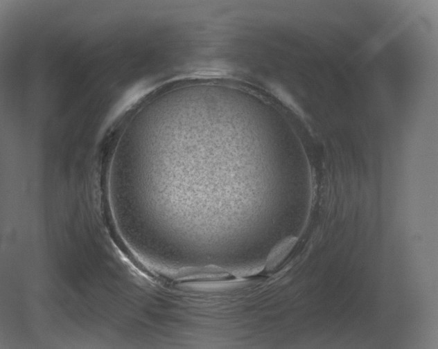 X0000081411456200701121156