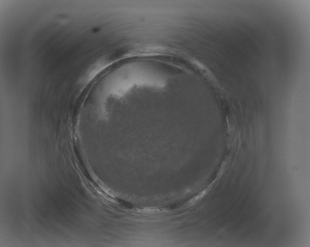 X0000081411457200701121156