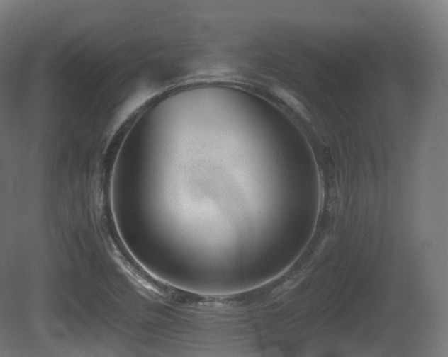 X0000081411458200701121156