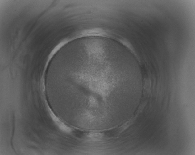 X0000081411466200701121156