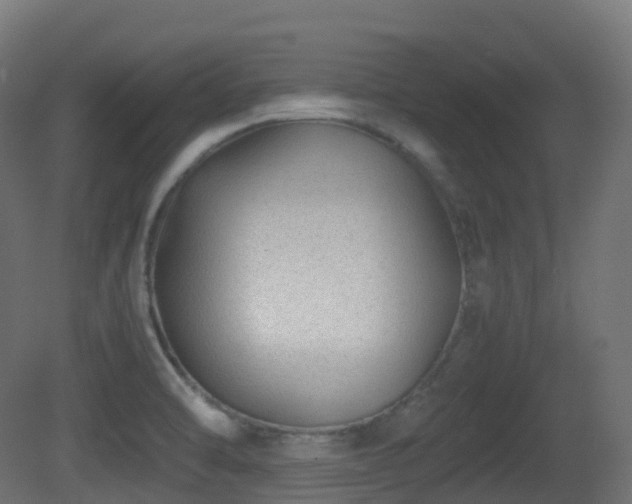 X0000081411470200701121156