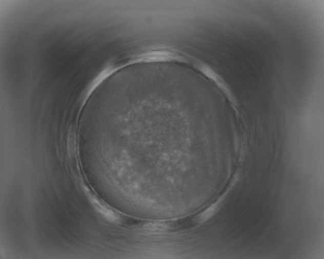 X0000081411473200701121156
