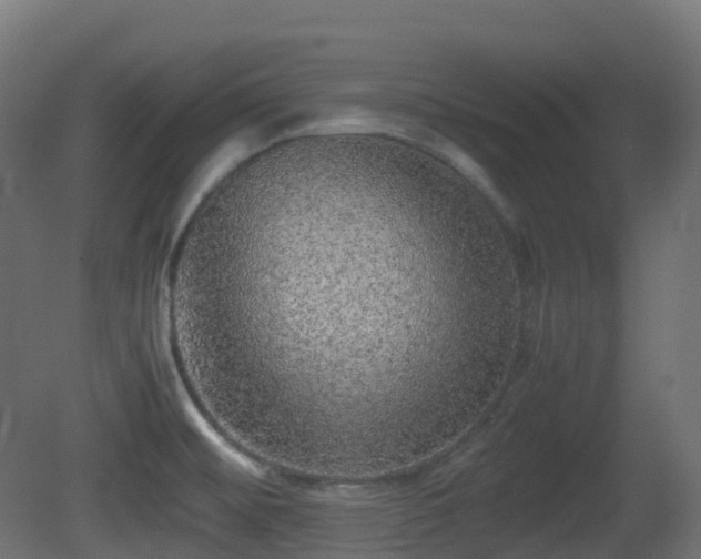 X0000081411476200701121156