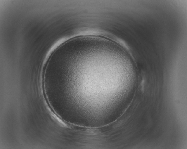 X0000081411480200701121156