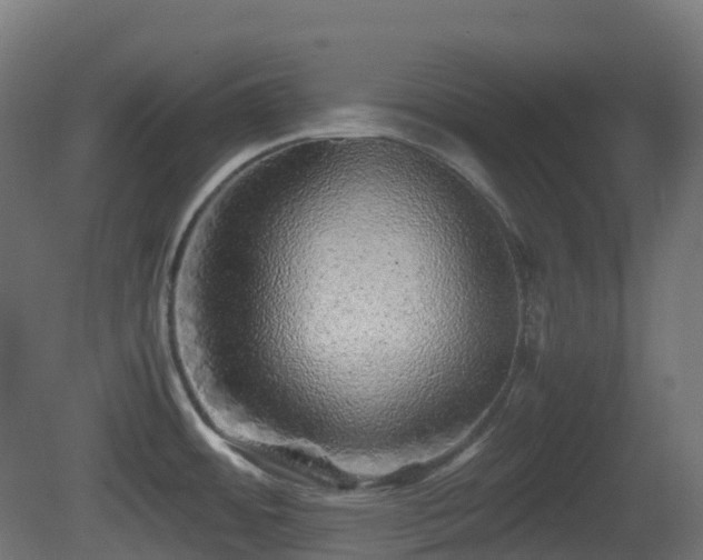 X0000081411484200701121156