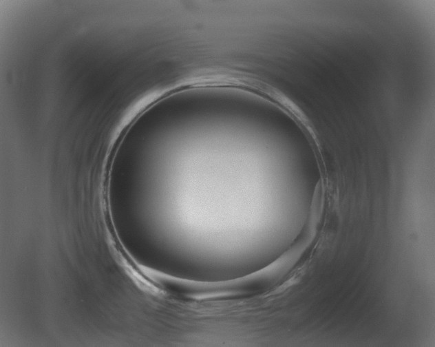 X0000081411485200701121156
