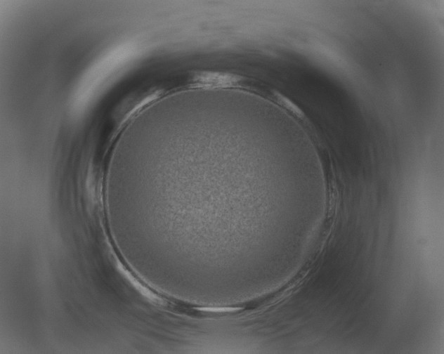 X0000081411487200701121156