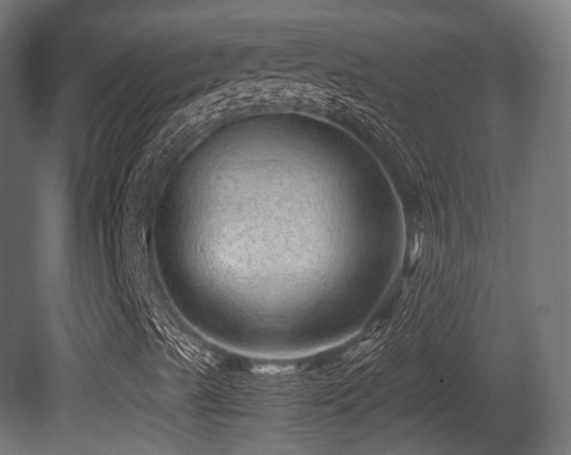 X0000081411489200701121155