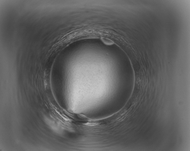 X0000081411490200701121155