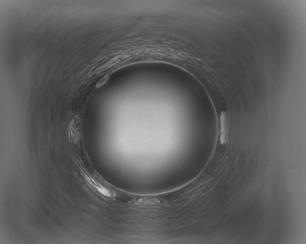 X0000081411491200701121155