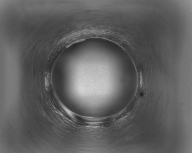 X0000081411492200701121155