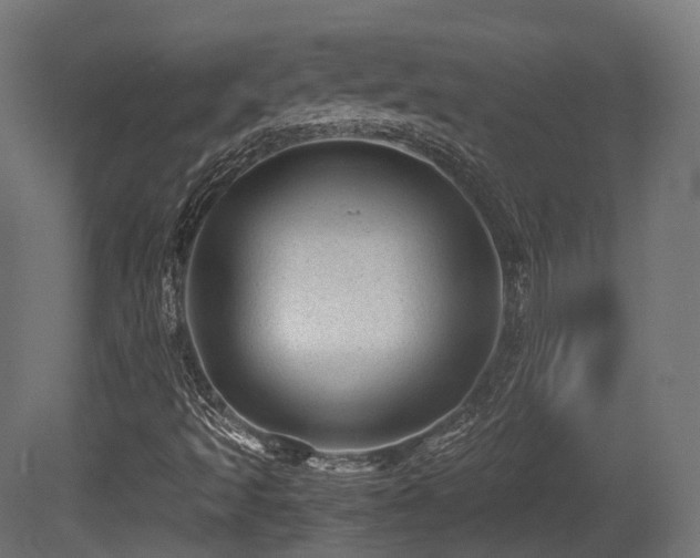 X0000081411493200701121155