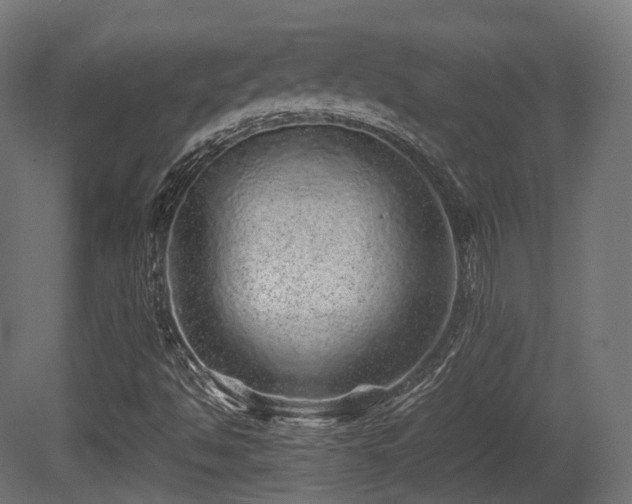 X0000081411494200701121155