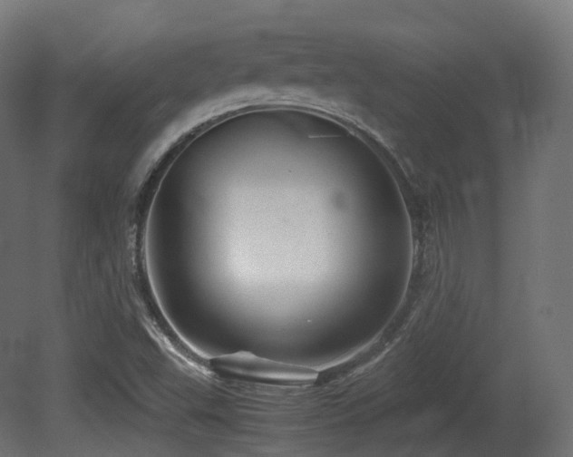 X0000081411503200701121155