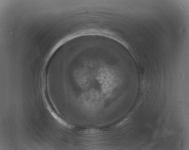 X0000081411515200701121155