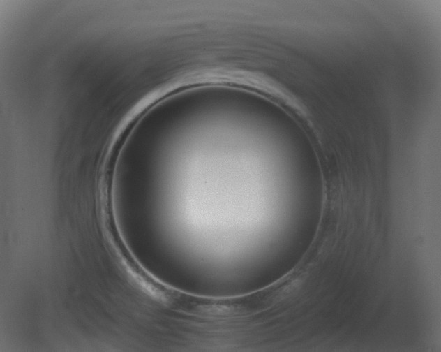 X0000081411517200701121155