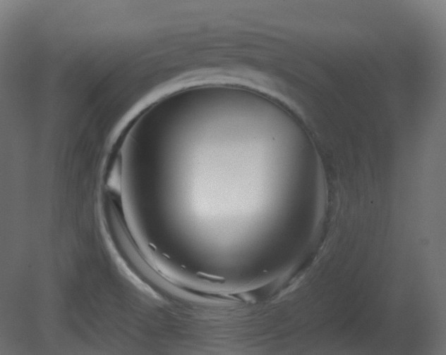 X0000081411518200701121155