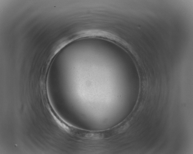 X0000081411521200701121155