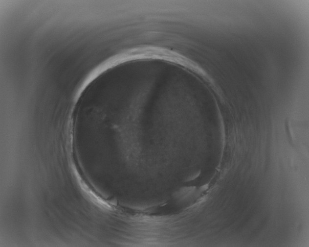 X0000081411522200701121155