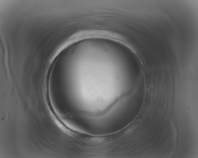 X0000081411523200701121155