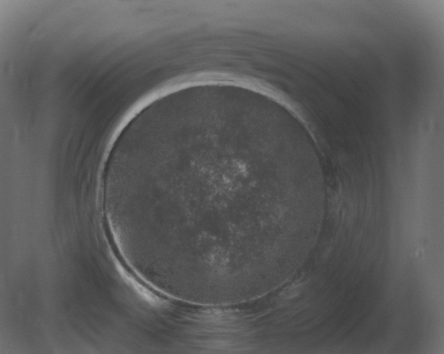 X0000081411527200701121156