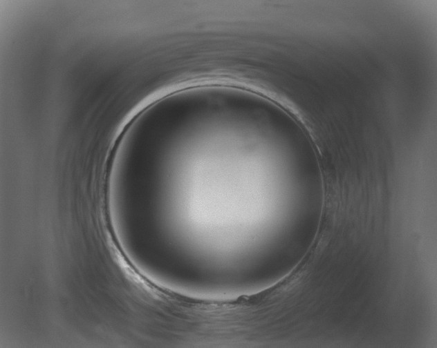 X0000081411534200701121156