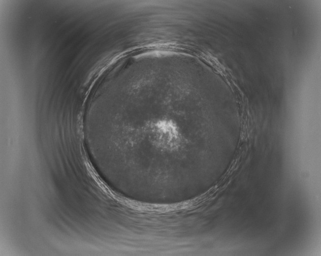 X0000081410002200701191542