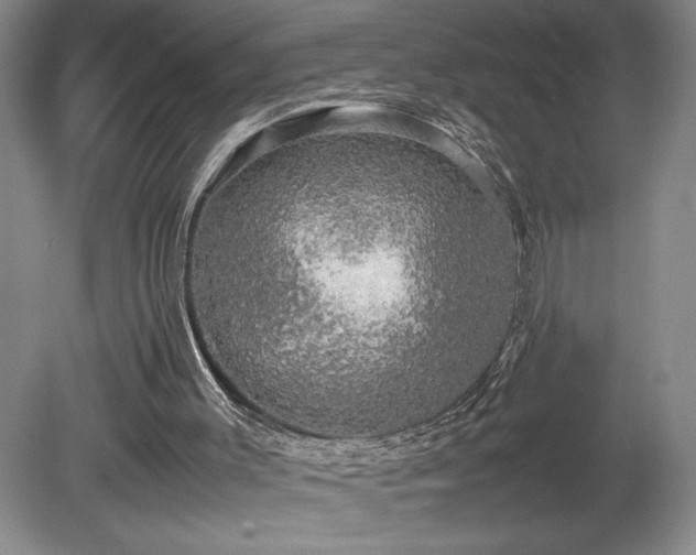 X0000081410003200701191542