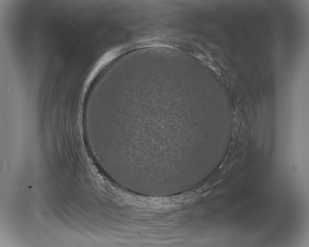 X0000081410006200701191542
