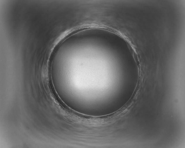 X0000081410008200701191542