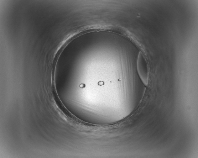 X0000081410011200701191542