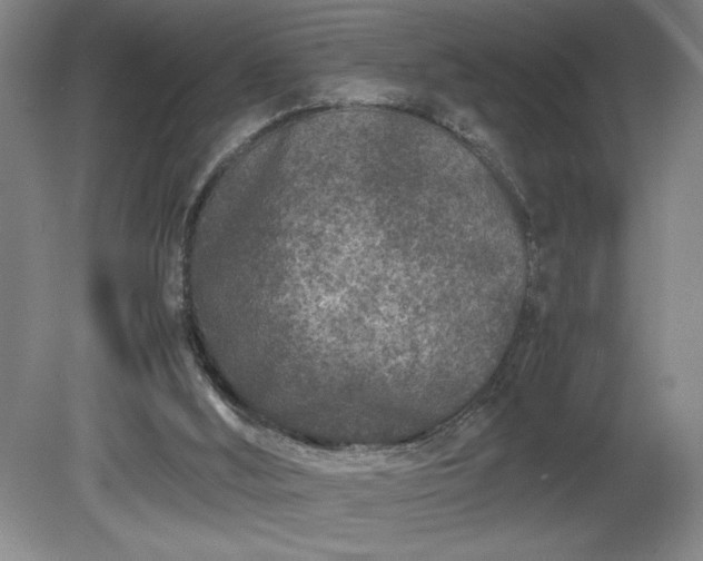 X0000081410012200701191542