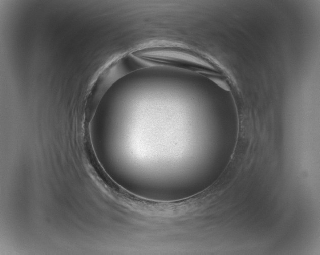 X0000081410015200701191542