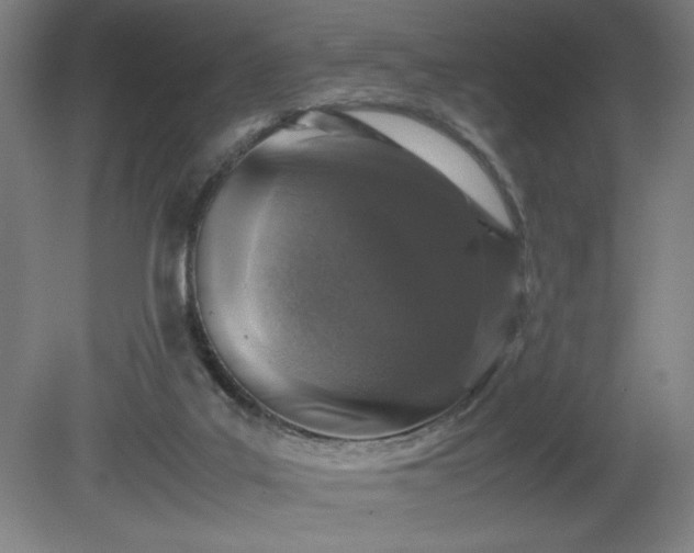 X0000081410019200701191542