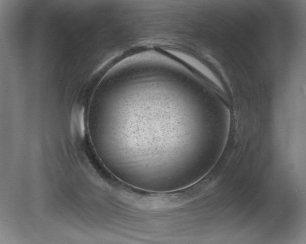 X0000081410020200701191542