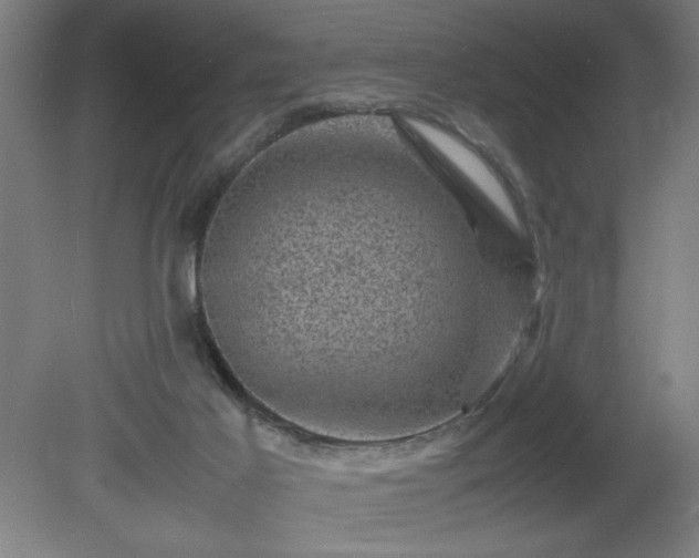 X0000081410021200701191542