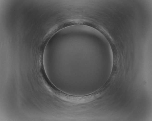 X0000081410023200701191541