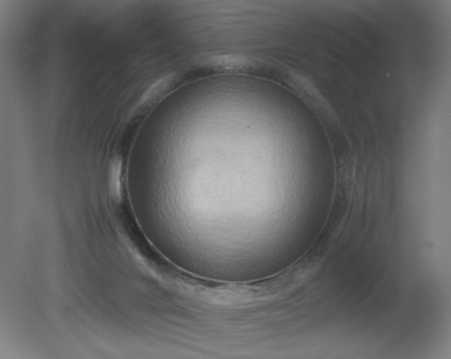 X0000081410024200701191541