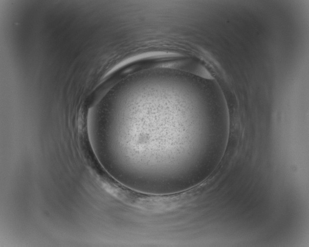 X0000081410025200701191541