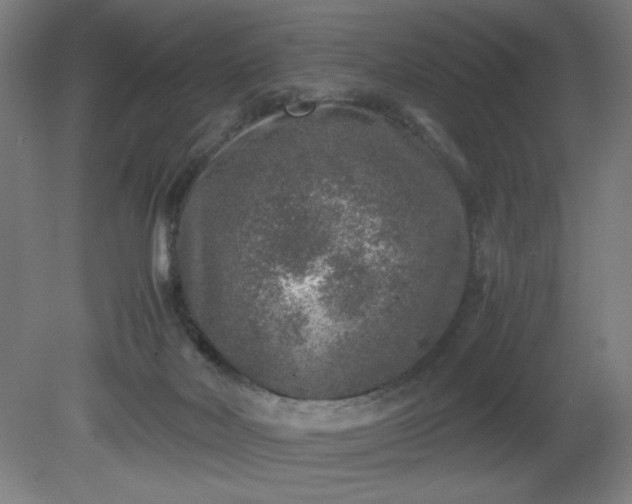 X0000081410026200701191541