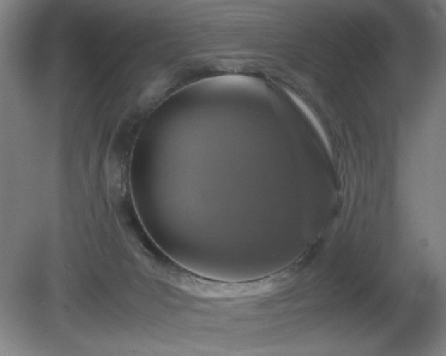 X0000081410031200701191541