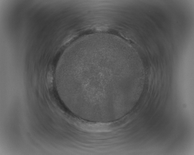 X0000081410032200701191541