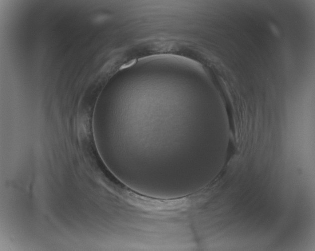 X0000081410035200701191541