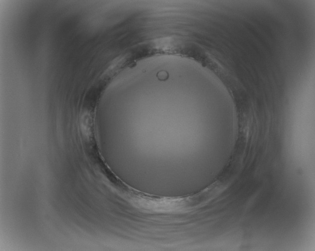 X0000081410036200701191541
