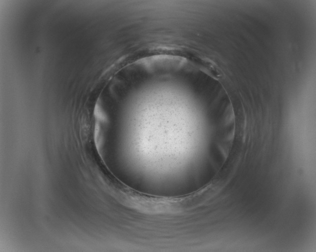 X0000081410040200701191541