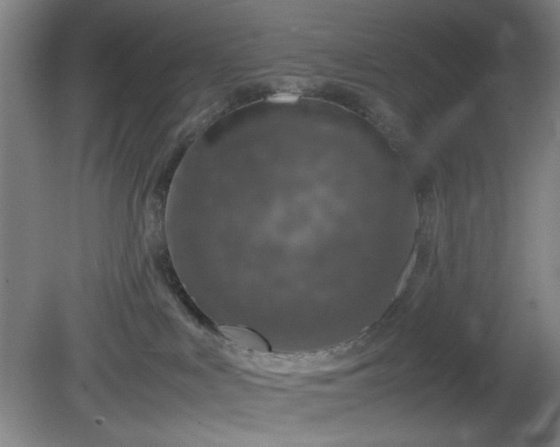 X0000081410043200701191541