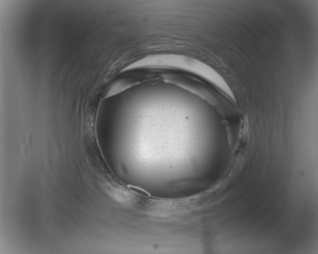 X0000081410045200701191541