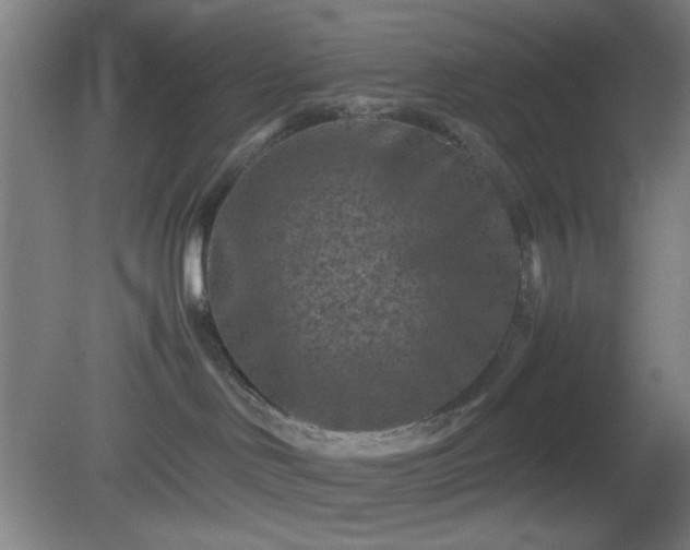 X0000081410046200701191541