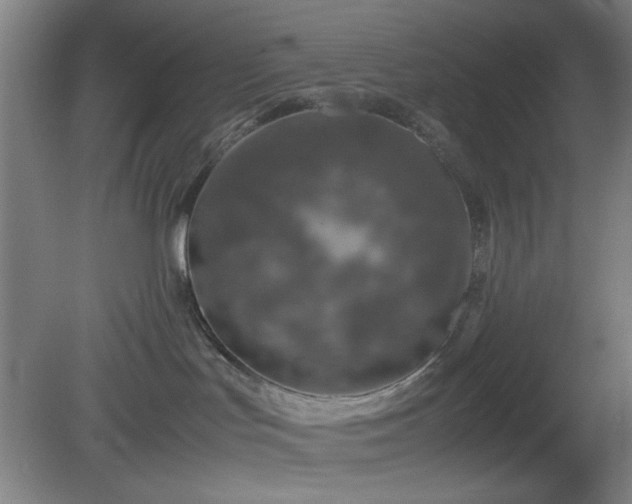 X0000081410047200701191541