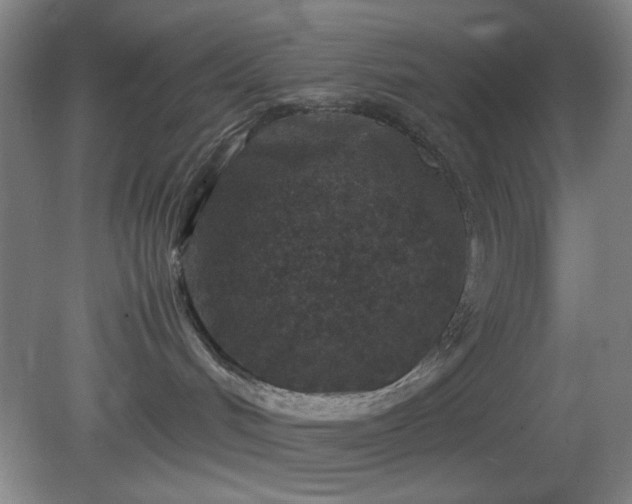 X0000081410048200701191541